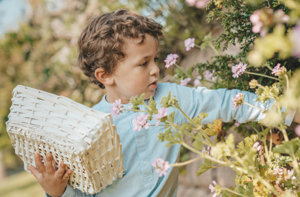 toddler picking flowers and putting them in basket
