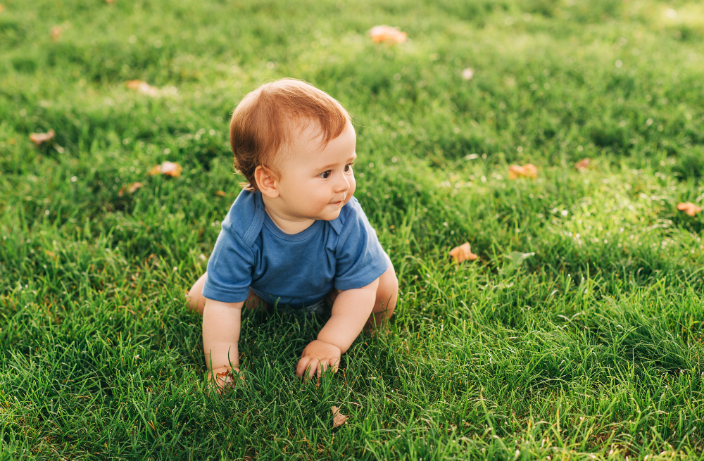 toddler on grass