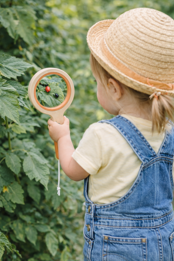 toddler looking at bugs with magnifying glass