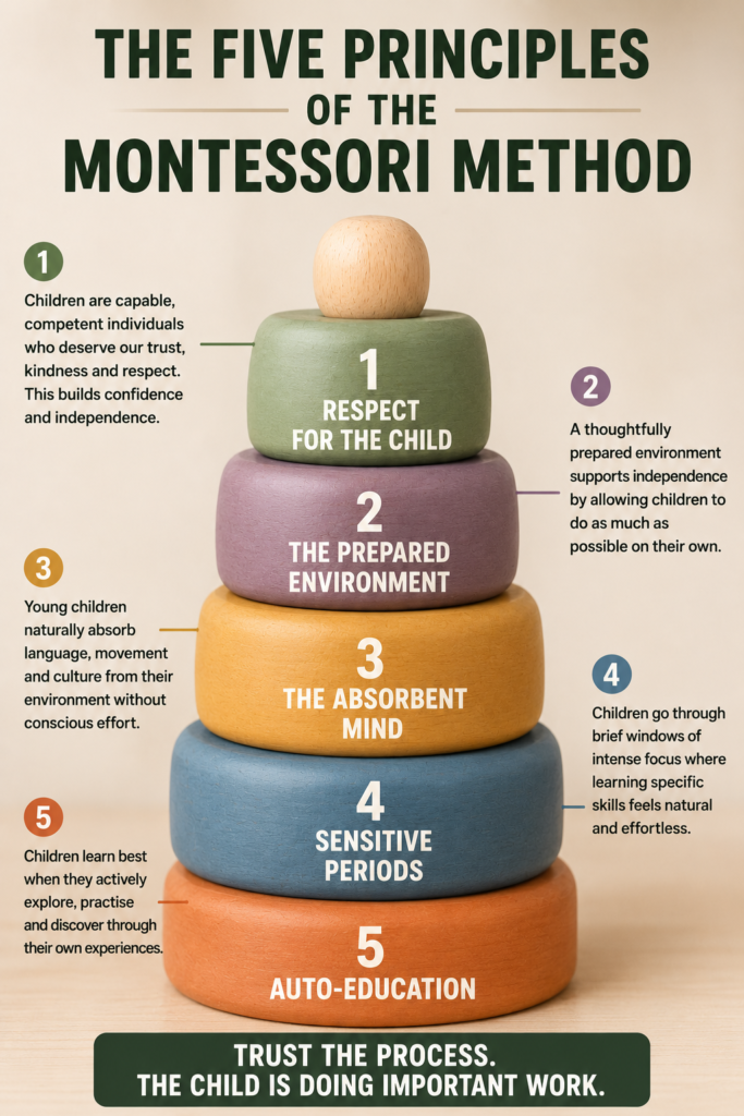 Five principles of the montessori method infographic