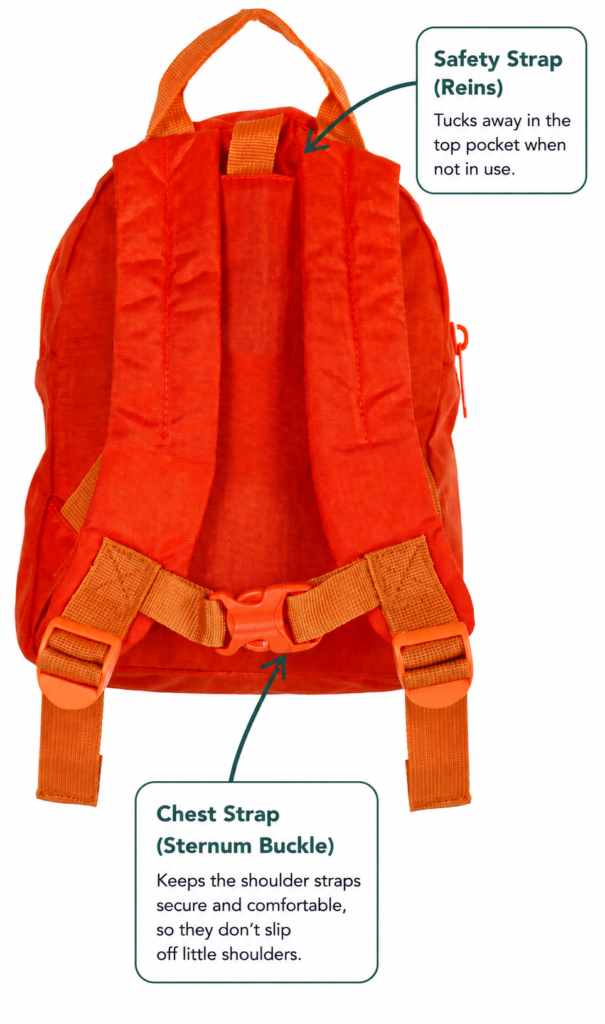 adjustable chest strap and reins of the LittleLife nursery backpack