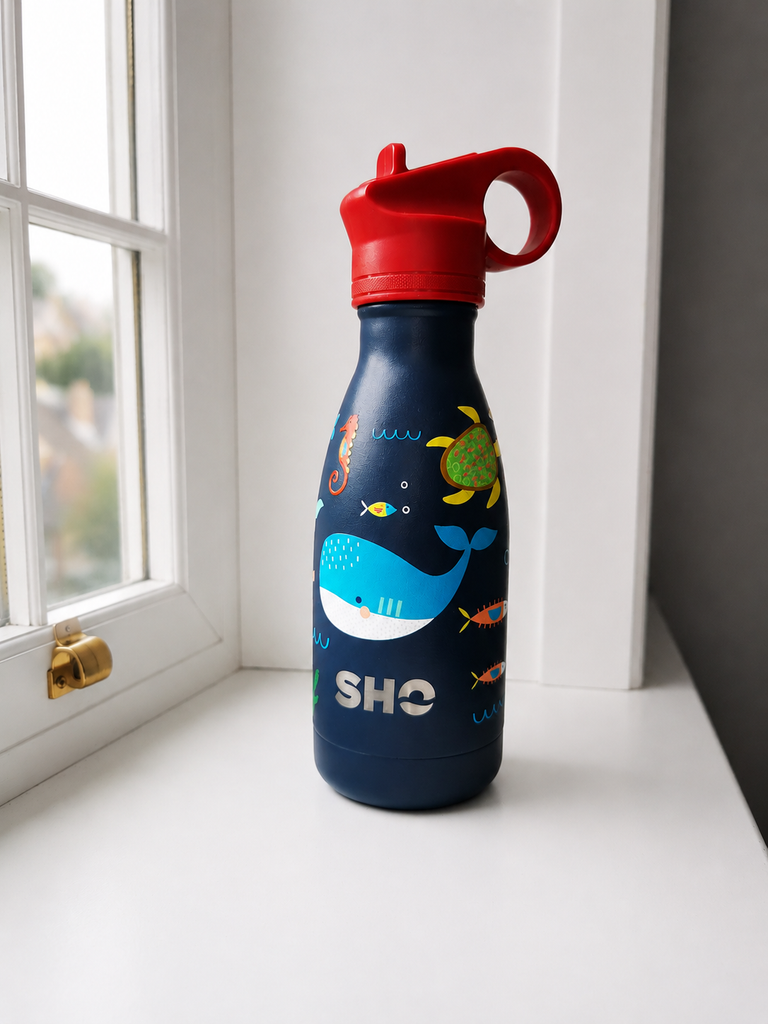 SHO stainless steel bottle for kids sitting by the window after 2 years use.